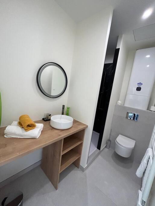 Appartement Le Studio Jardin D'Eden Metro Palais De Justice à Toulouse Extérieur photo